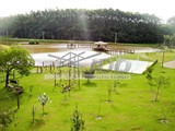 pontes-e-passarelas (20)